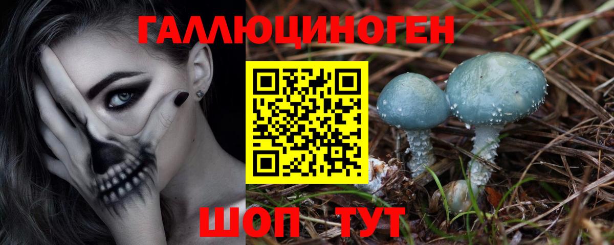 Псилоцибиновые грибы мицелий Арзамас